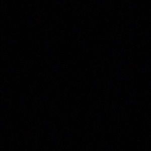 Meet your Posher, Benji